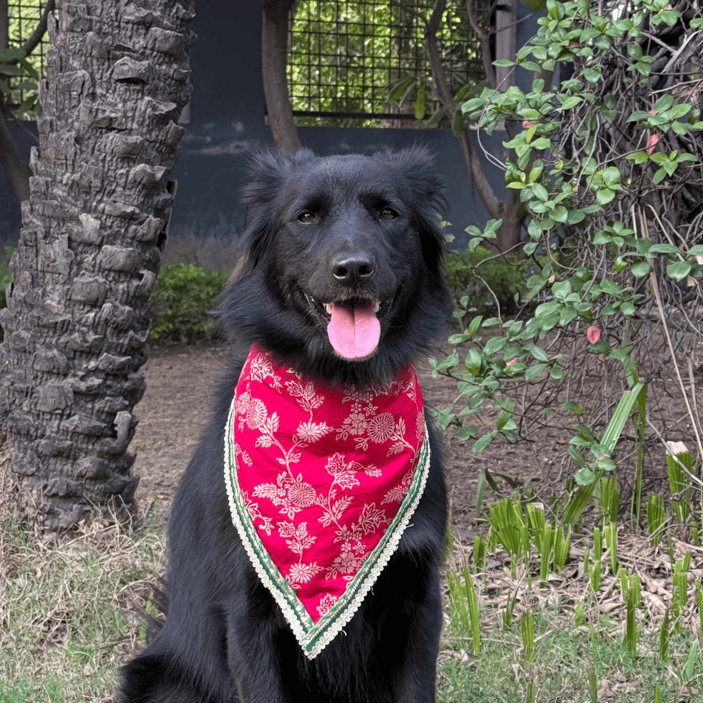 PW Pink Royalty Bandana