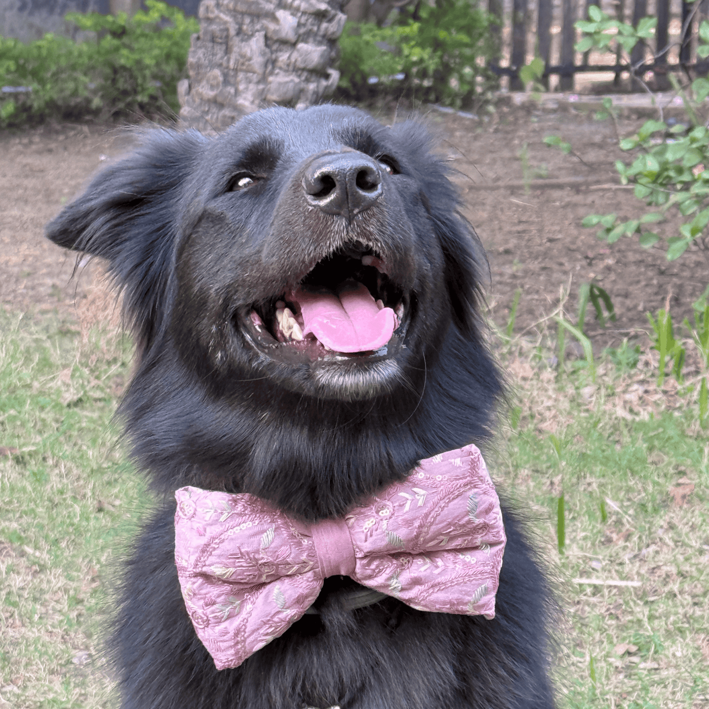 PW Powder Pink Bow
