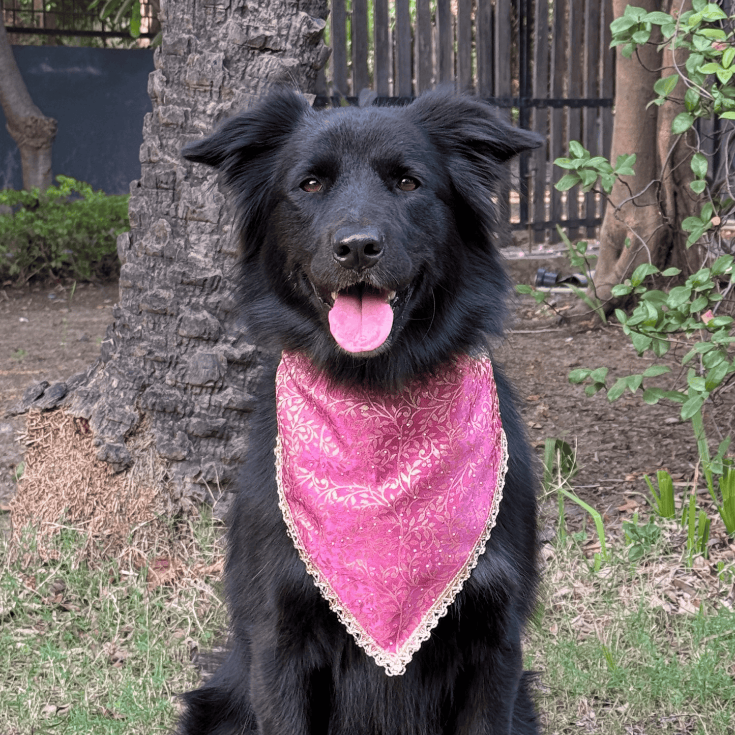 PW Rose Gold Bandana