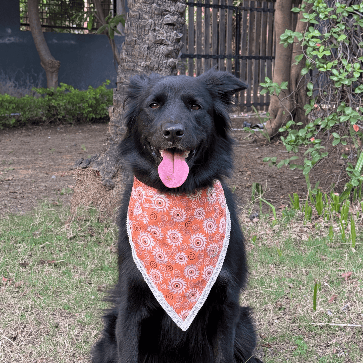 PW Sassy Orange Bandana