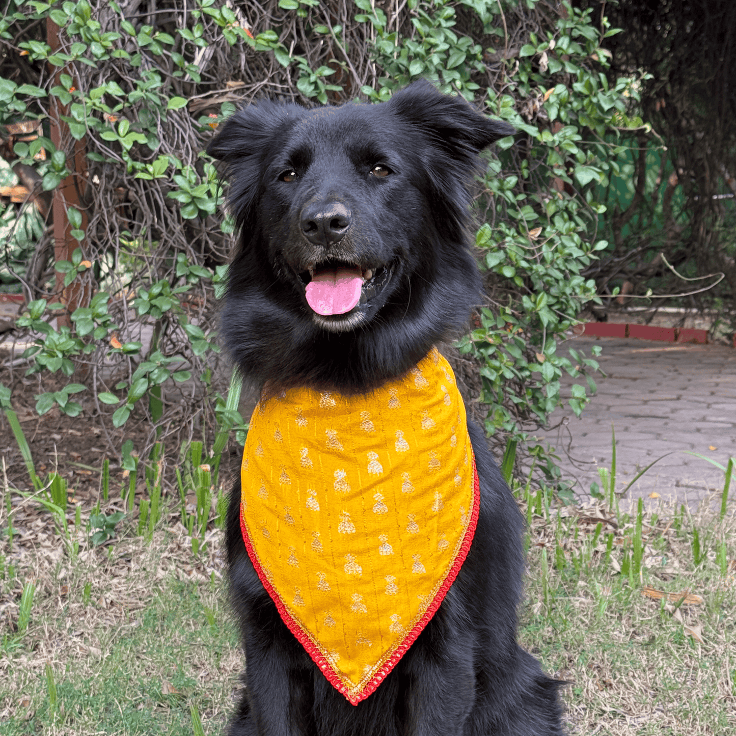 PW Sunshine Yellow Bandana