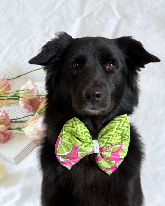 Pixie Woofs Pink & Green Watermelon Bow for Pets/Paw-Babies