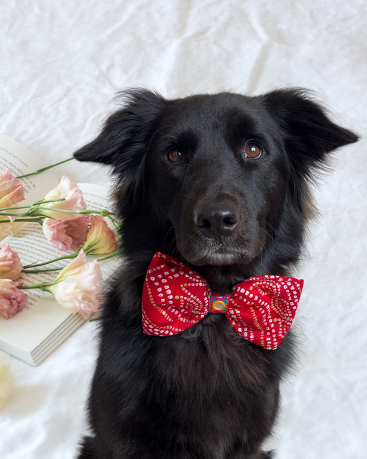 Pixie Woofs Pink Bandhani Bow for Pets/Paw-Babies