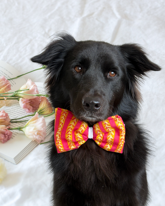 Pixie Woofs Pink & Yellow Bow for Pets/Paw-Babies