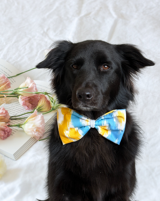 Pixie Woofs Blue, Yellow & White Printed Bow for Pets/Paw-Babies