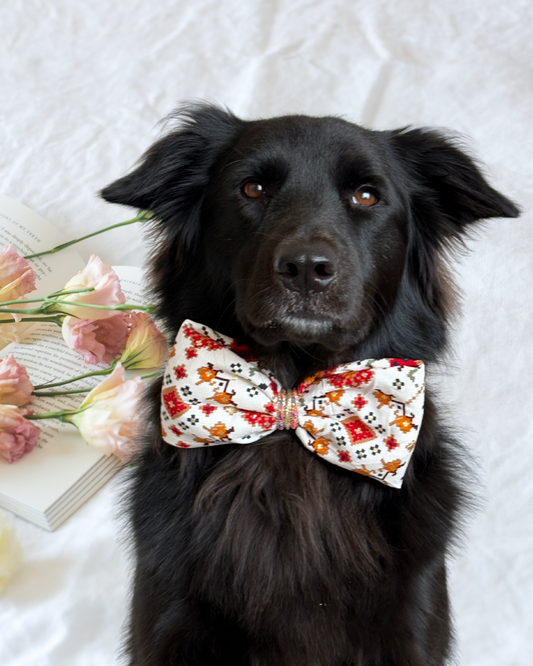 Pixie Woofs Patola Print Bow for Pets/Paw-Babies
