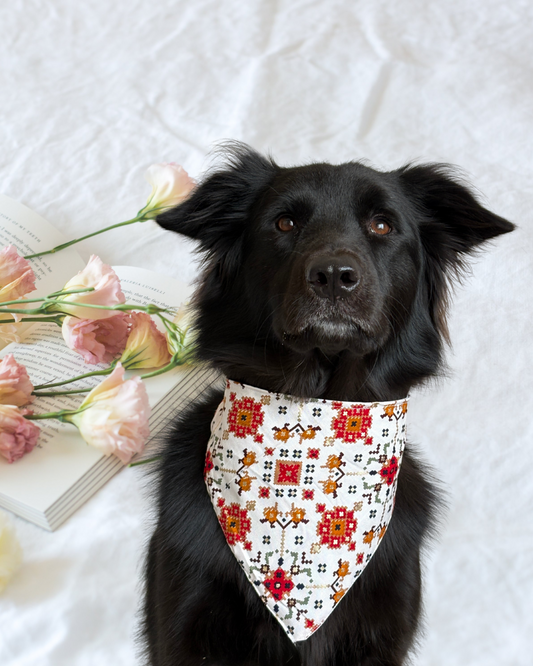 Pixie Woofs Patola Print Bandana for Pets/Paw-Babies