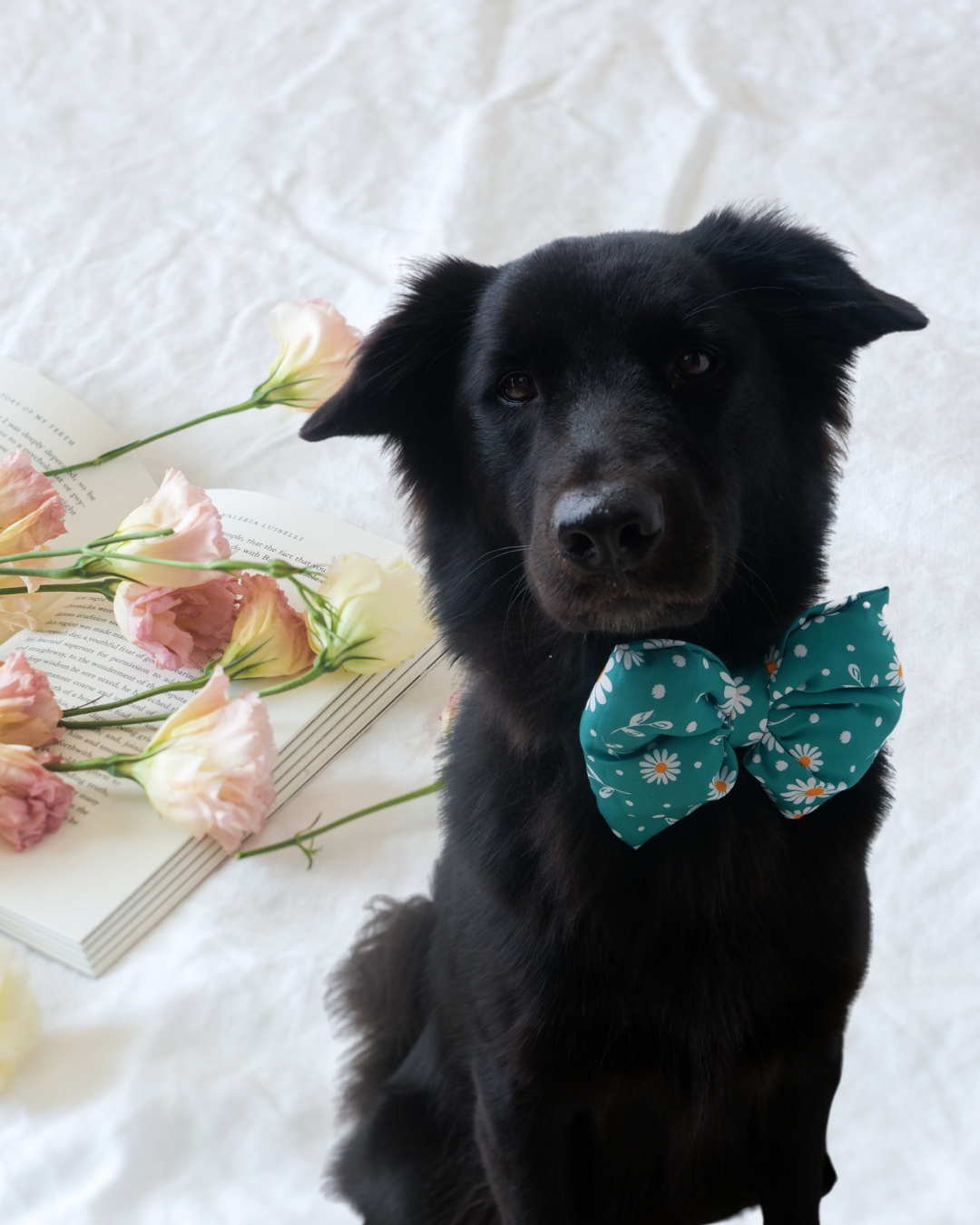 Pixie Woofs Green Daisy Bow for Pets/Paw-Babies