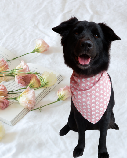 Pixie Woofs Multi-Colour Butterfly/Flower Double Sided Pet Scarf Bandana for Pet/Paw-Babies