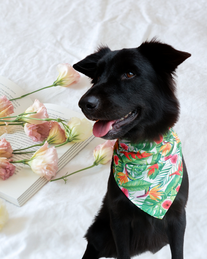 Pixie Woofs Tropical Vibe Scarf Bandana for Pets/Paw-Babies