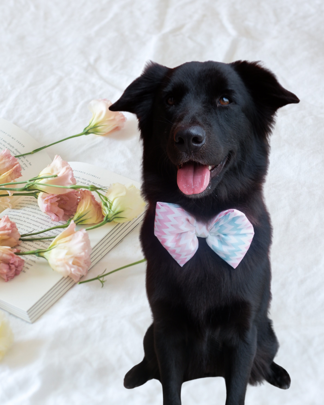 Pixie Woofs Bow - Pastel Zig-Zag for Pets/Paw-Babies