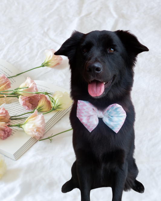 Pixie Woofs Bow - Pastel Zig-Zag for Pets/Paw-Babies